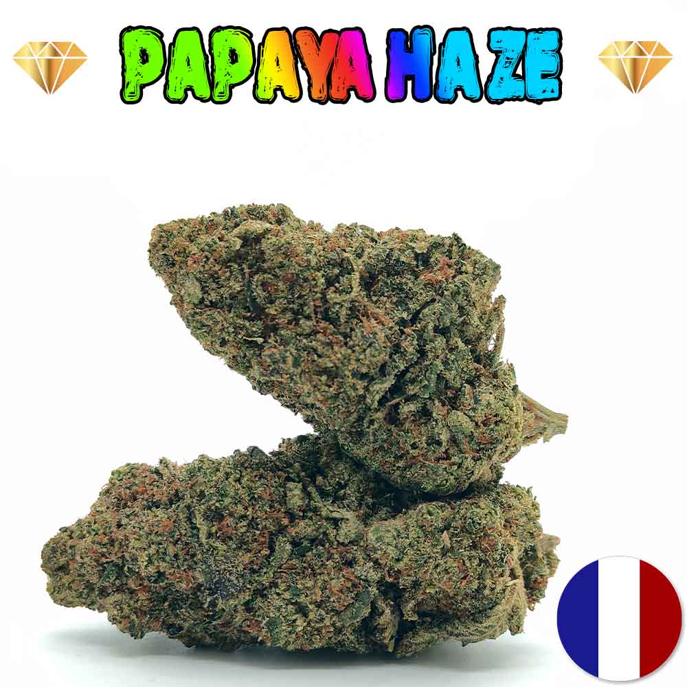 Papaya Haze - Luxury Edition