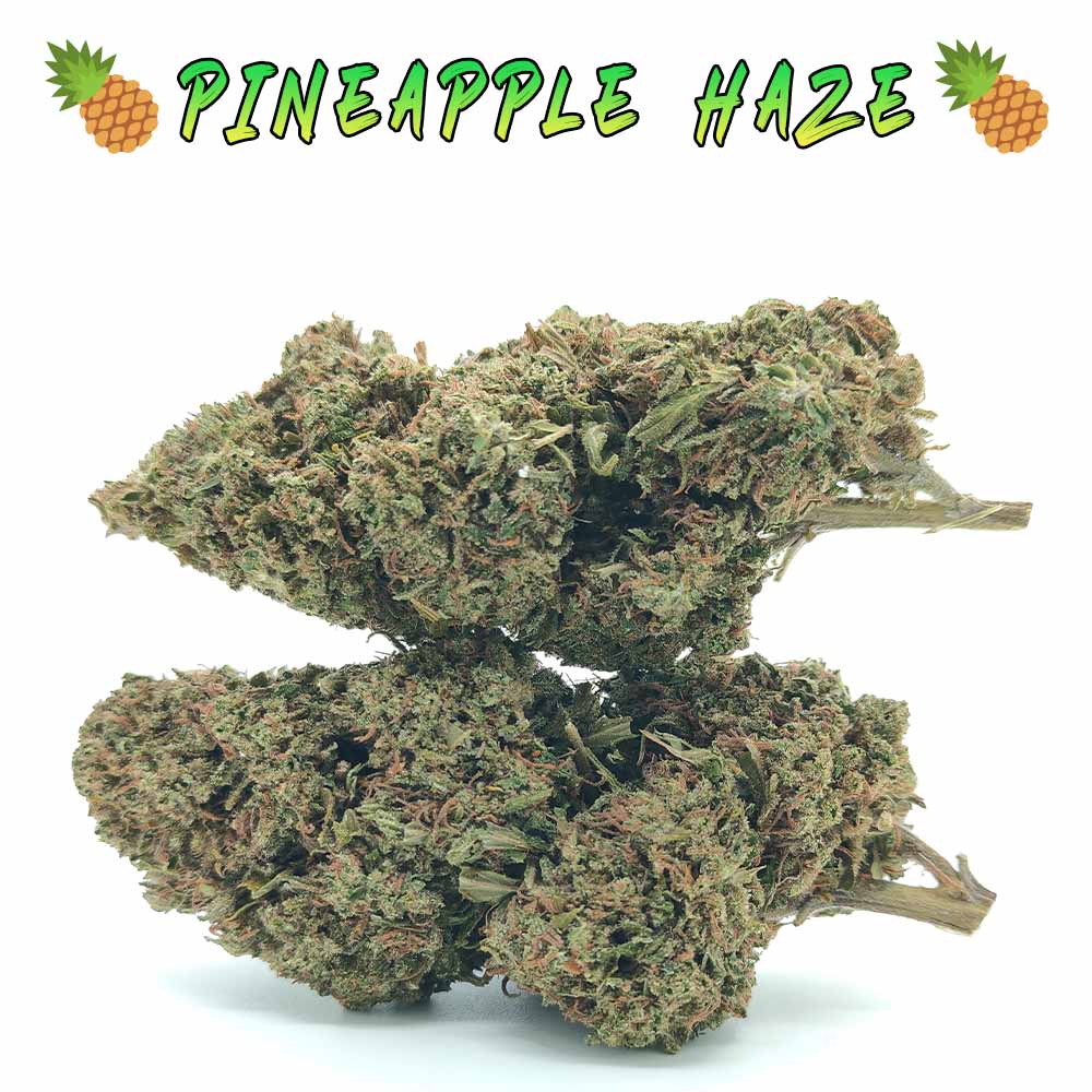 Pineapple Haze