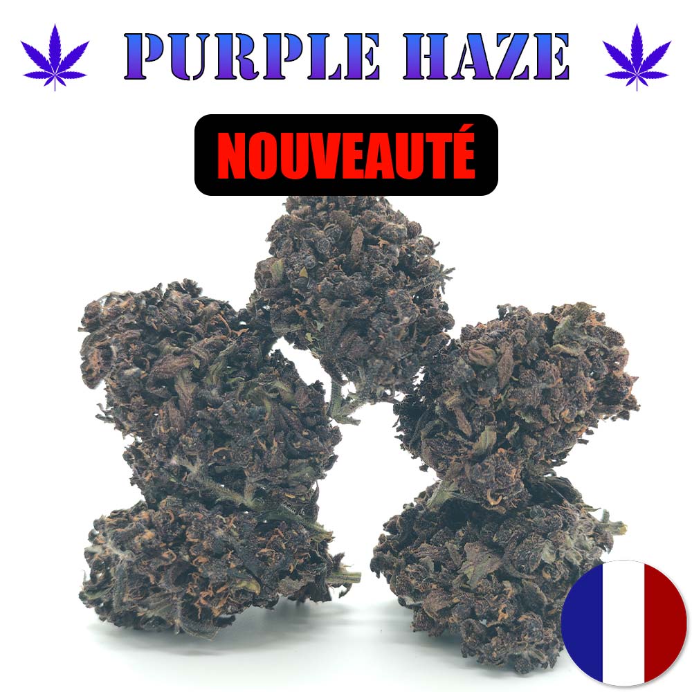 Purple Haze