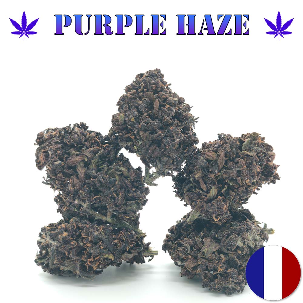 Purple Haze