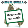 Royal Gorilla CBD