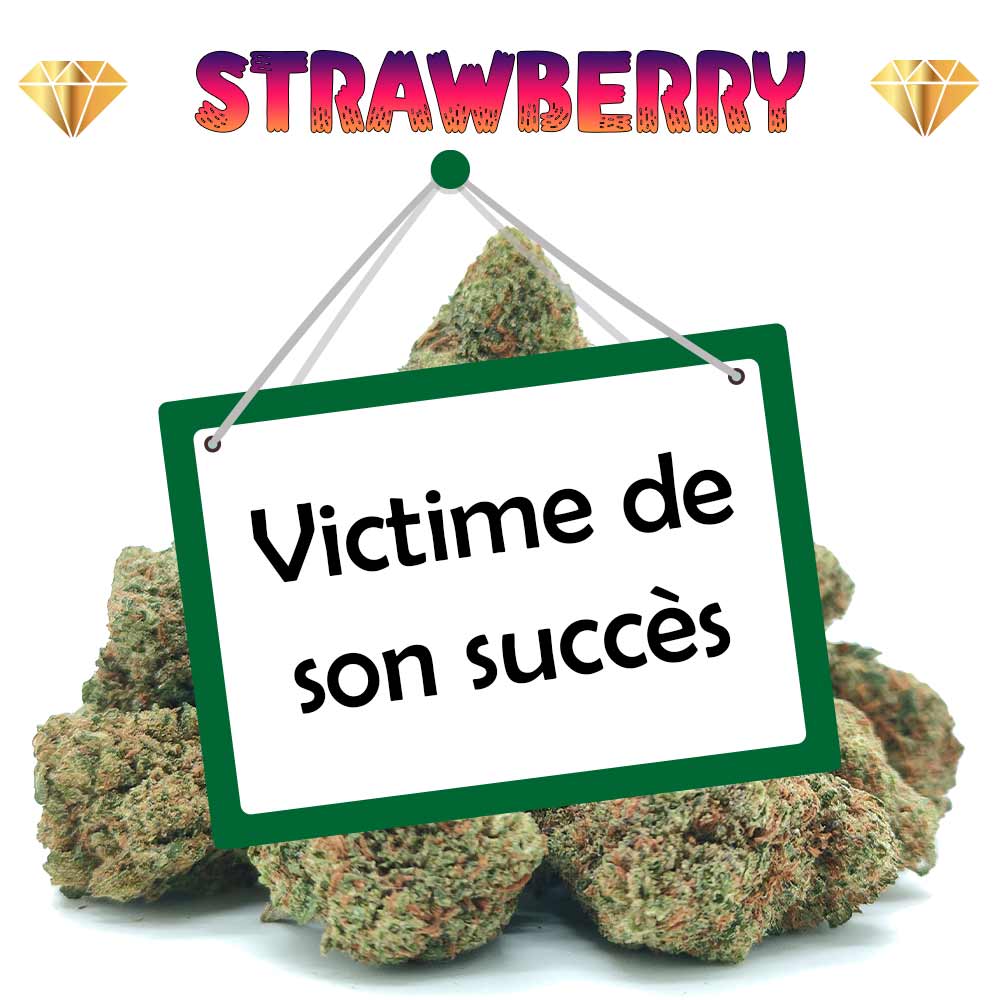 Strawberry Haze - Popcorn Luxury Edition