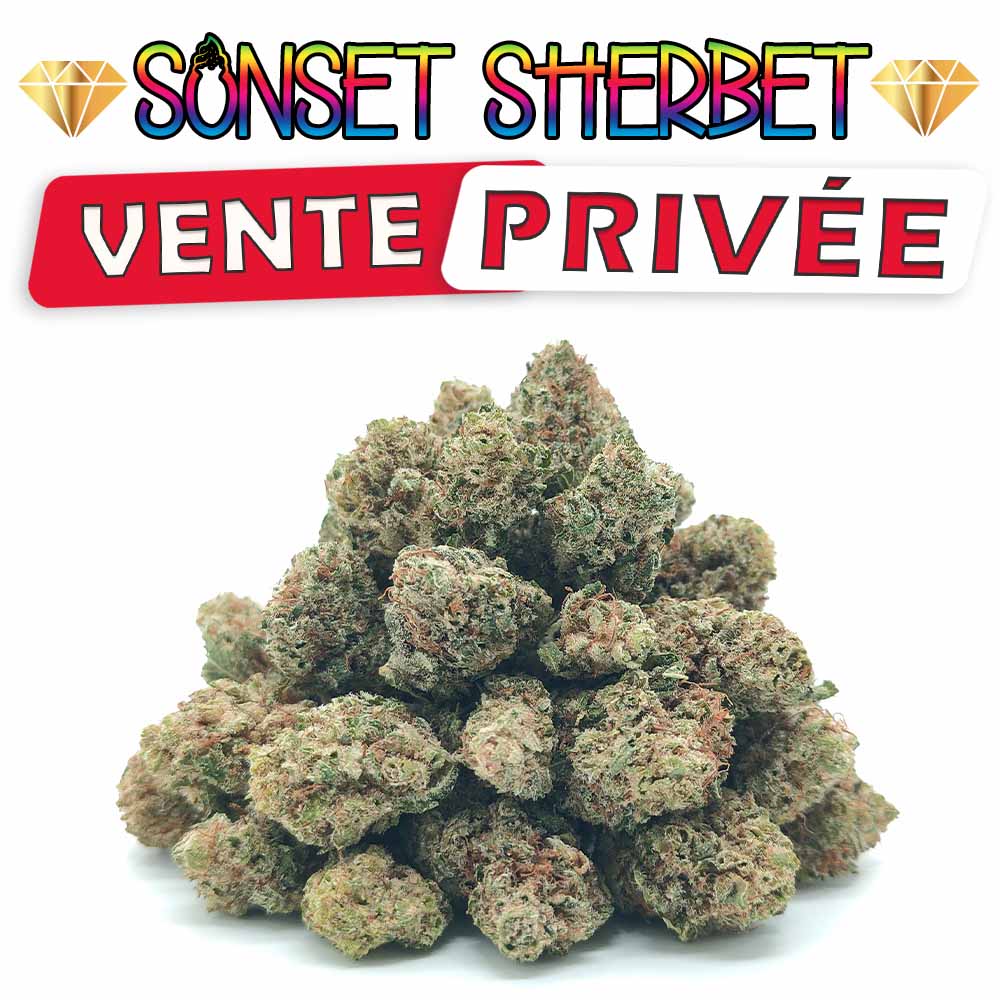 Vente Privée🌟 Sunset Sherbet - Popcorn Luxury Edition