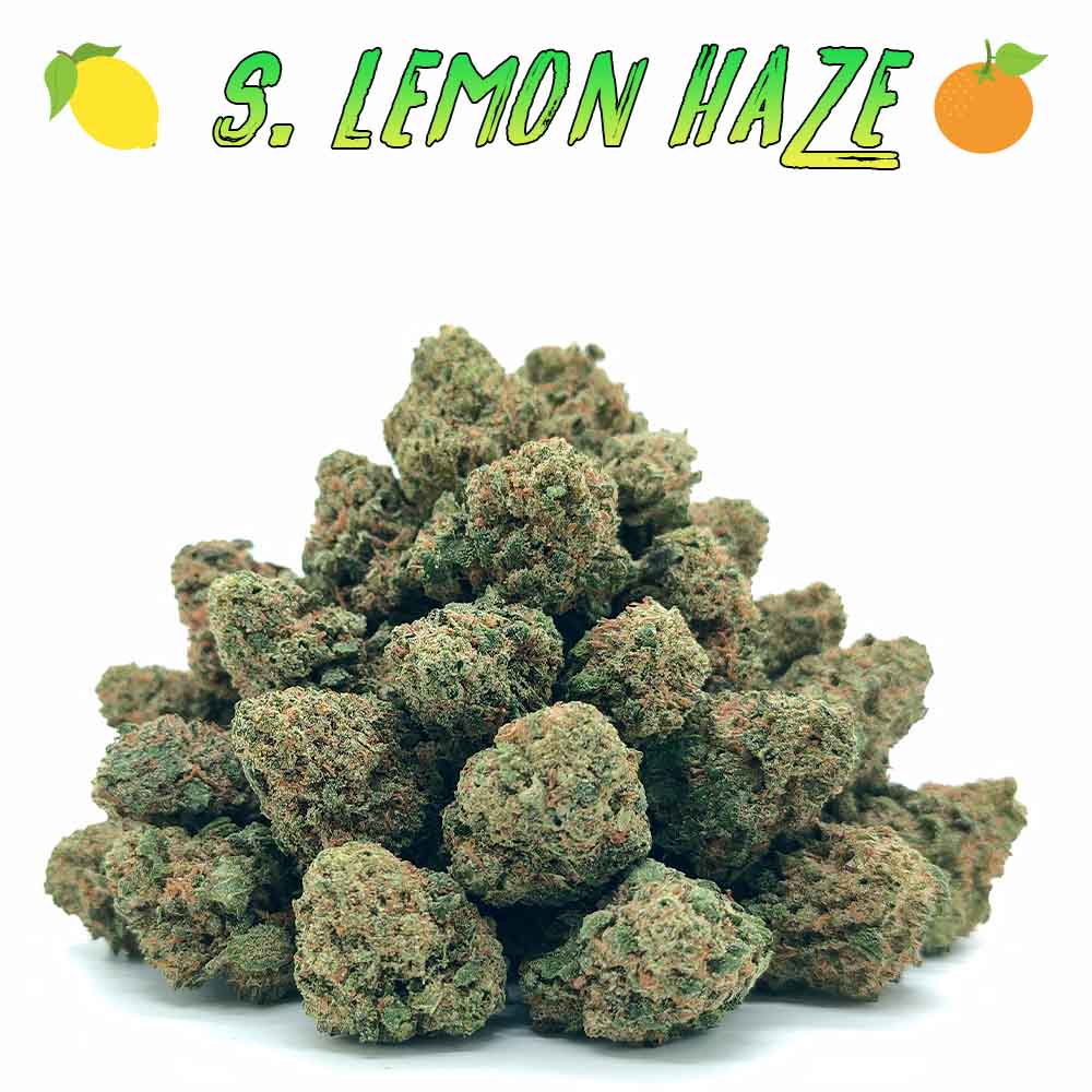 🎁 Popcorn - Super Lemon Haze - LFC Drop #01 (OFFERT)