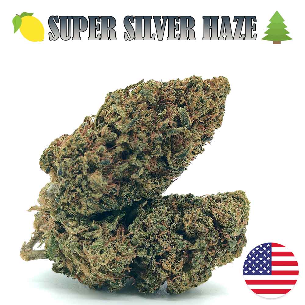 Super Silver Haze - LFC drop #01