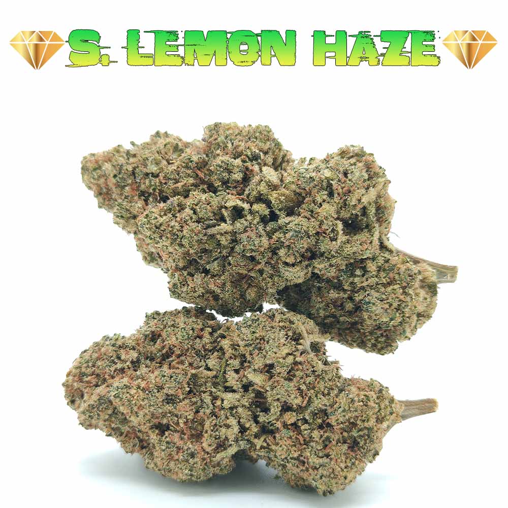 Super Lemon Haze - Luxury Edition