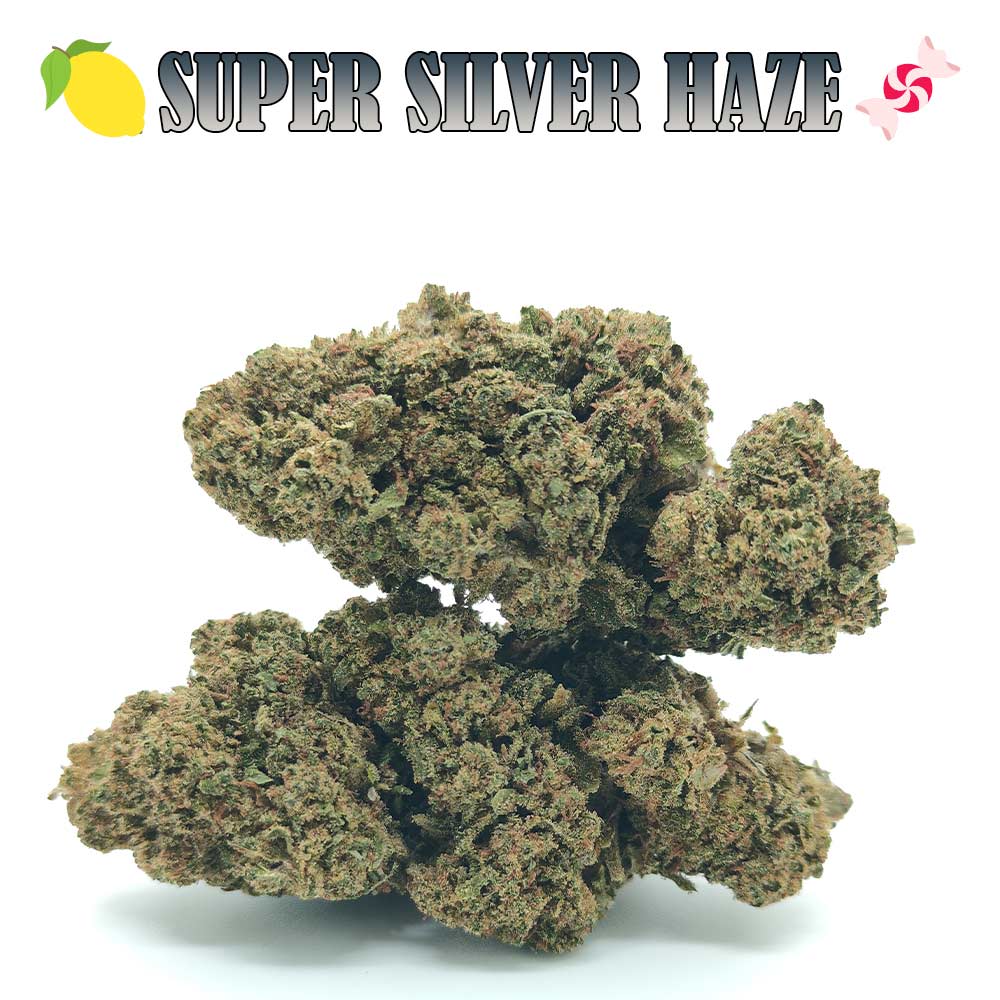 Super Silver Haze CBD