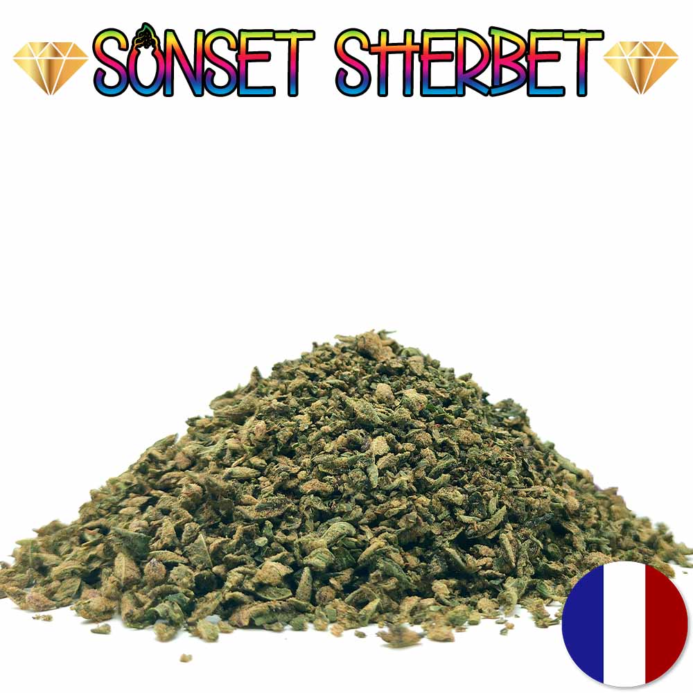 Trim 100% Indoor - Sunset Sherbet