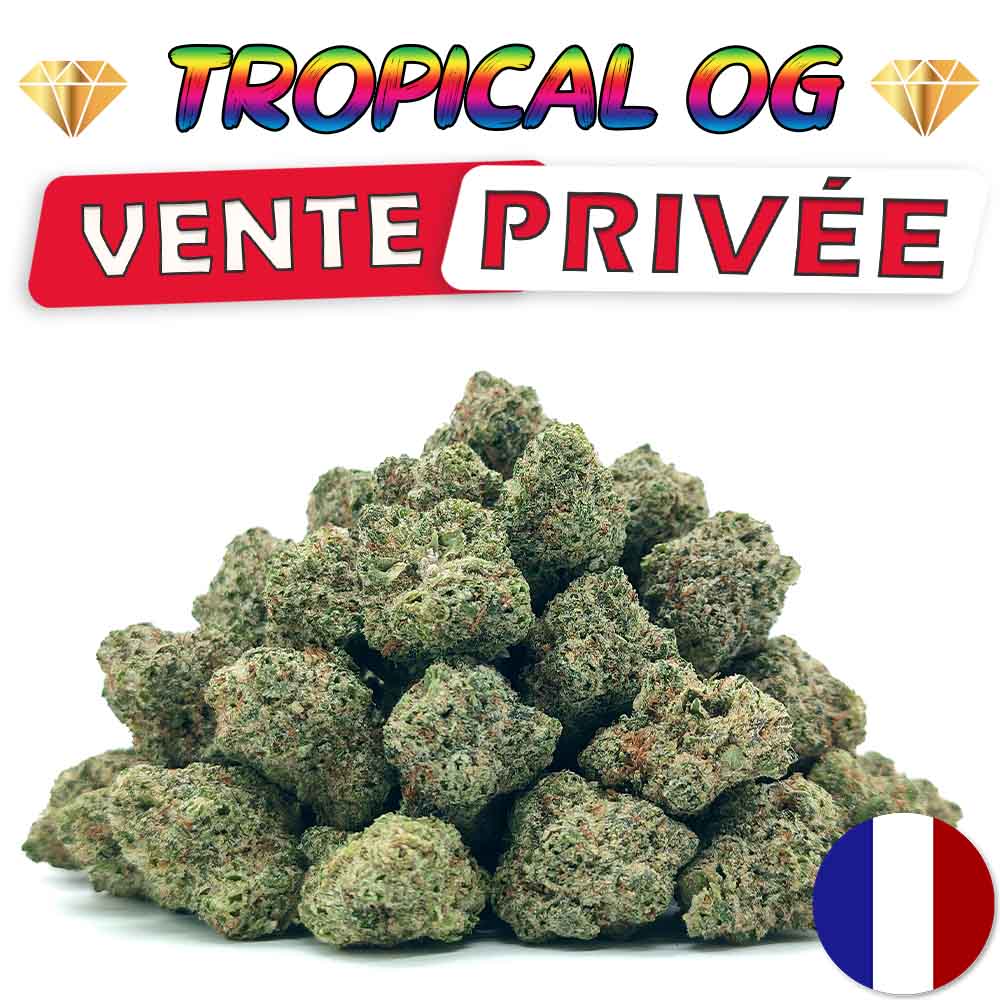 Tropical OG - Popcorn Luxury Edition