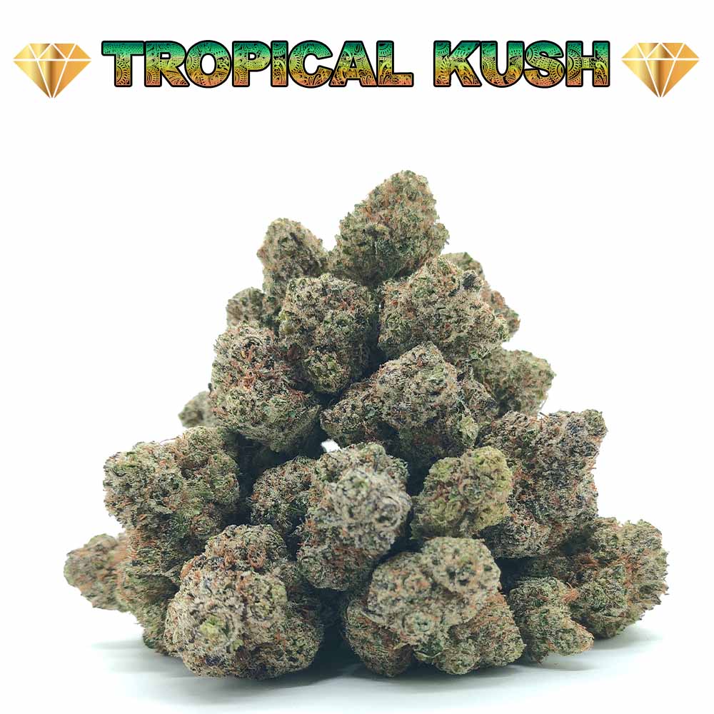 Tropical Kush - Popcorn Luxury Edition