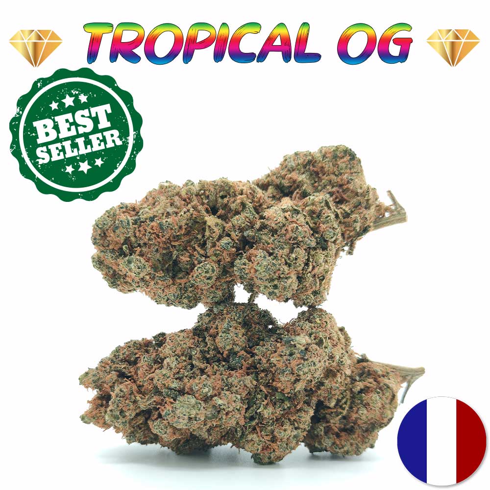 Tropical OG - Luxury Edition