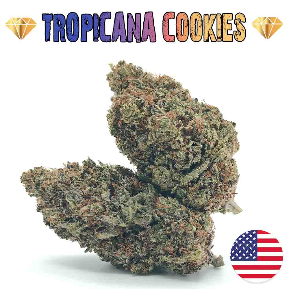Tropicana Cookies CBD USA - Luxury Edition