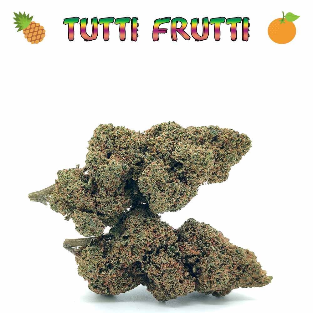 Fleur de CBD Tutti Frutti Glasshouse – Récolte Novembre 2025, 13,98% CBD, arômes tropicaux