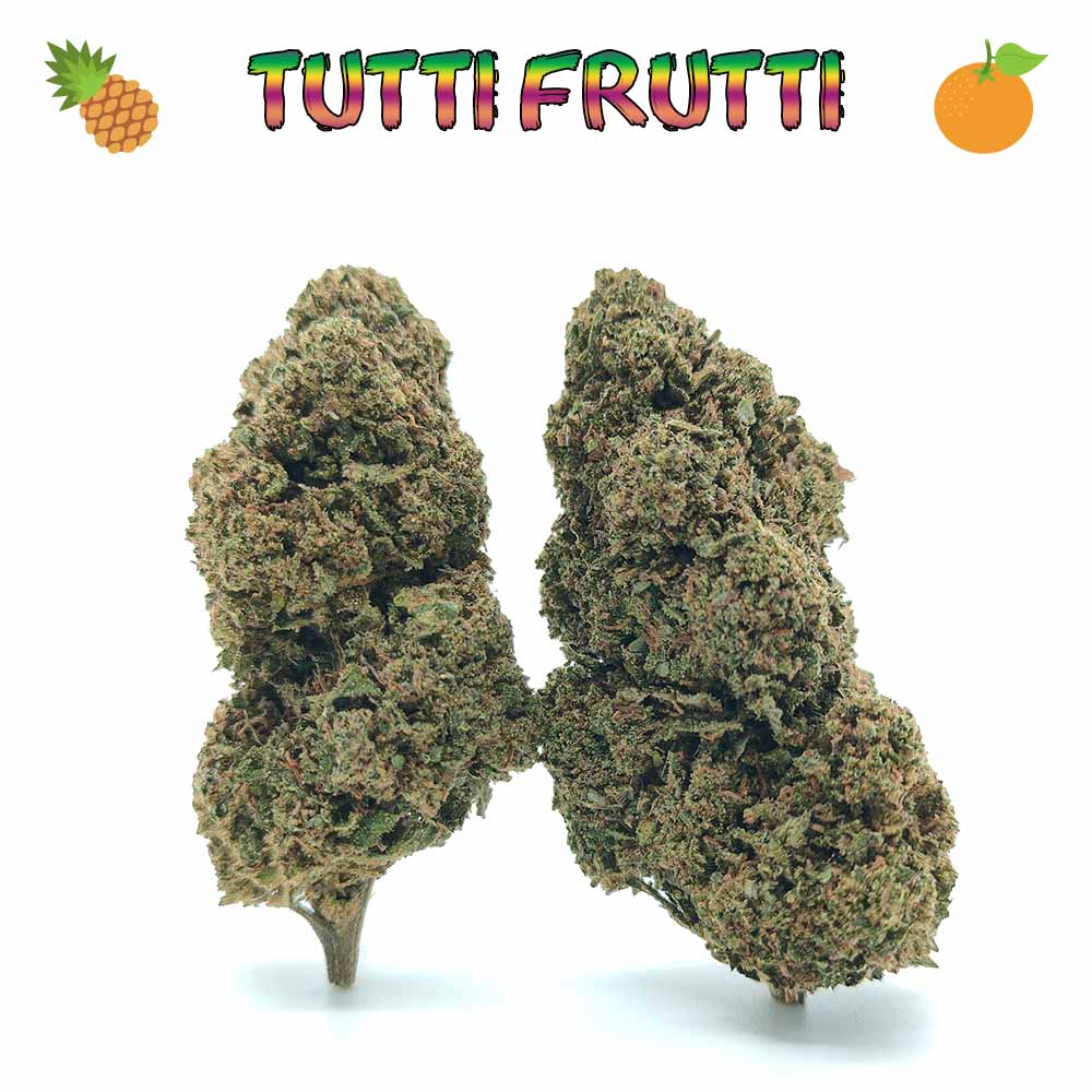 Tutti Frutti