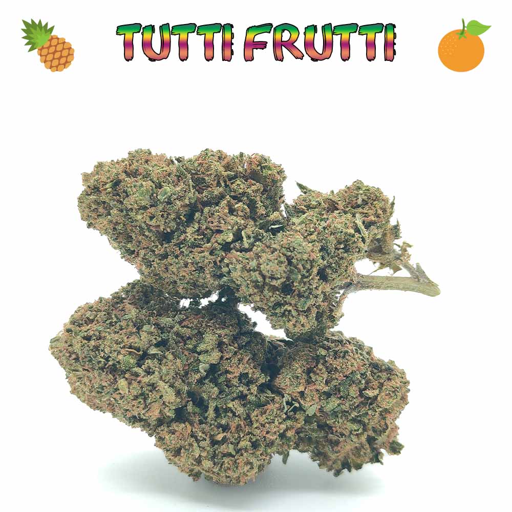 Tutti Frutti