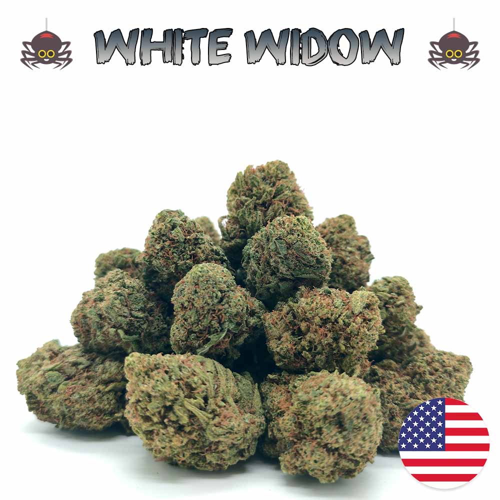 Popcorn - White Widow