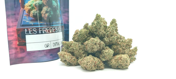 Jack Herer - Popcorn Luxury Edition