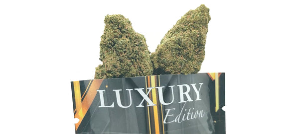 Apple Fritter CBD USA - Luxury Edition