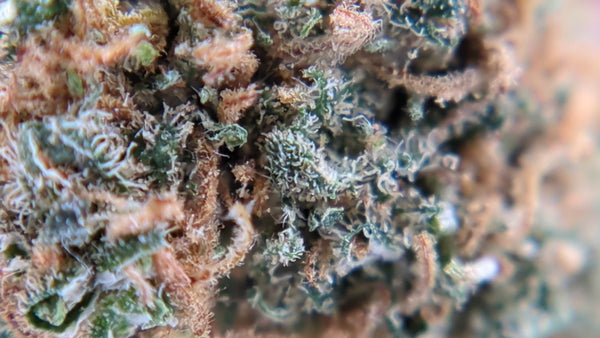 Cherry Pie - Popcorn Luxury Edition