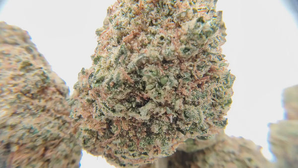 Amnesia Lemon Cali - Luxury Edition