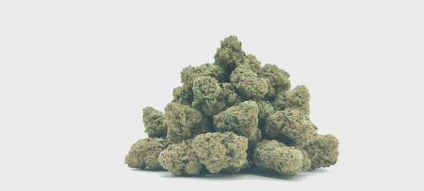 Popcorn - White Widow