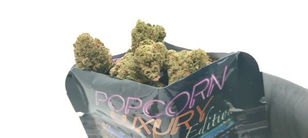 Bubble Gum - Popcorn Luxury Edition