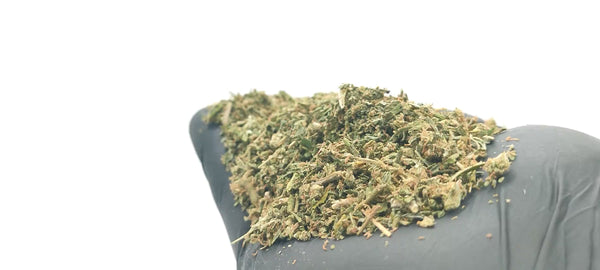 Trim Gorilla Glue