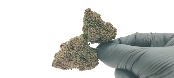 Blue Dream