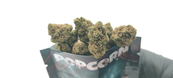 Popcorn - Harleyquinn