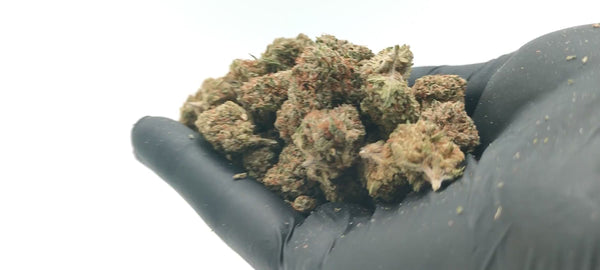 Cherry Pie - Popcorn Luxury Edition