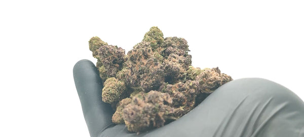 Purple Haze CBD - Popcorn Luxury Edition