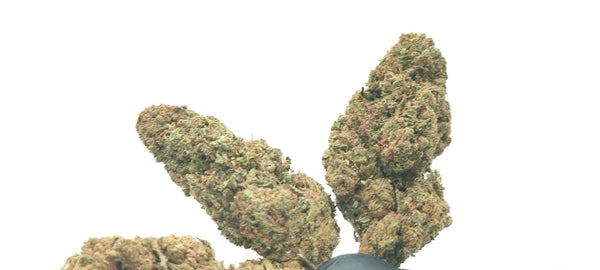 Buddha Cheese