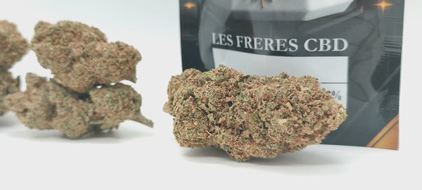 Sour Amnesia - Luxury Edition