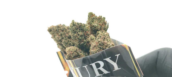 Animal Mintz CBD - Luxury Edition