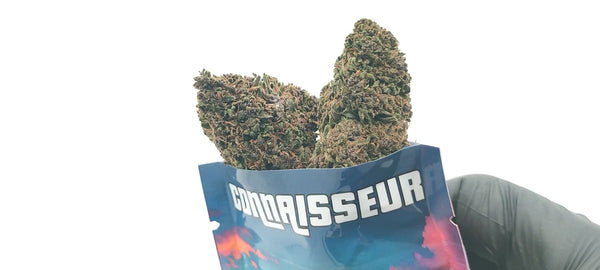 Blue Dream