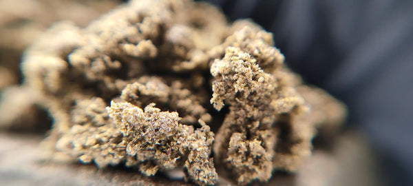 King Hassan 35% CBD + 10% CBN + 10% CBG