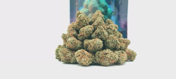 California Haze - Popcorn Luxury Edition