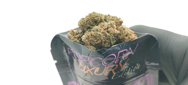 New York City Diesel - Popcorn Luxury Edition