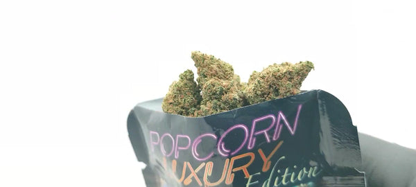 California Haze USA - Popcorn Luxury Edition