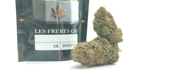 Papaya Haze - Luxury Edition