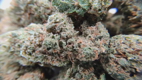 Popcorn - Caramel Candy