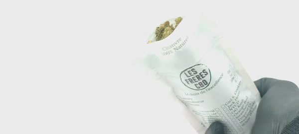 Vente Privée🌟 Jack Herer - Popcorn Luxury Edition