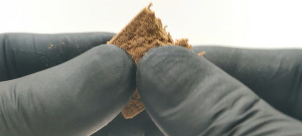 Lemon Haze Pollen Indoor 36% CBD