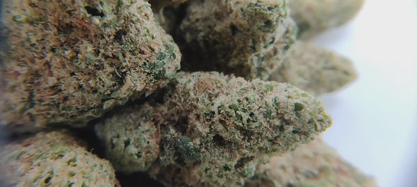 Plutonium US CBD - Popcorn Luxury Edition