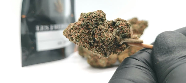 Blue Cookies CBD - Luxury Edition