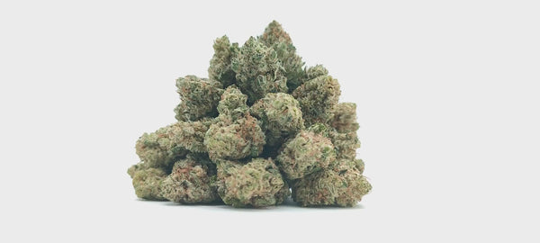 Orange Sherbet CBD - Popcorn Luxury Edition