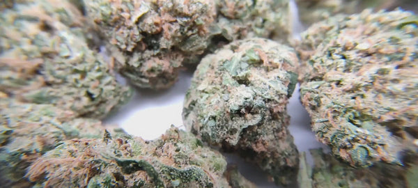 Sour Amnesia - Popcorn Luxury Edition