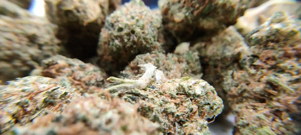 Green Crack - Popcorn Luxury Edition