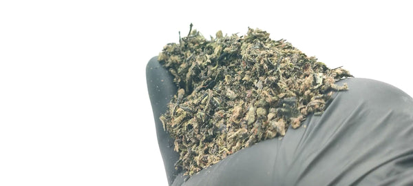 Trim 100% Indoor - Bubble Gum - LFC Drop #01