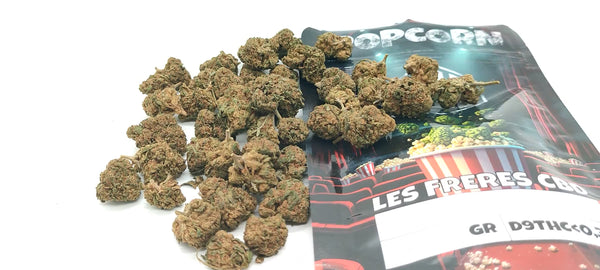 Popcorn - Platinum Kush CBD USA